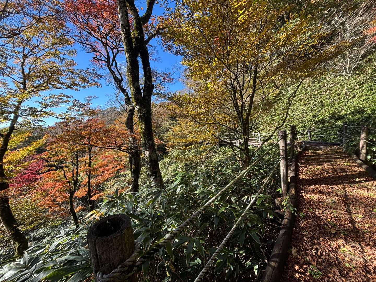 蛤岳 往復コースの写真