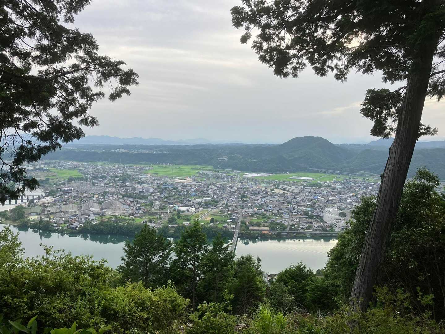 愛宕山 往復コースの写真