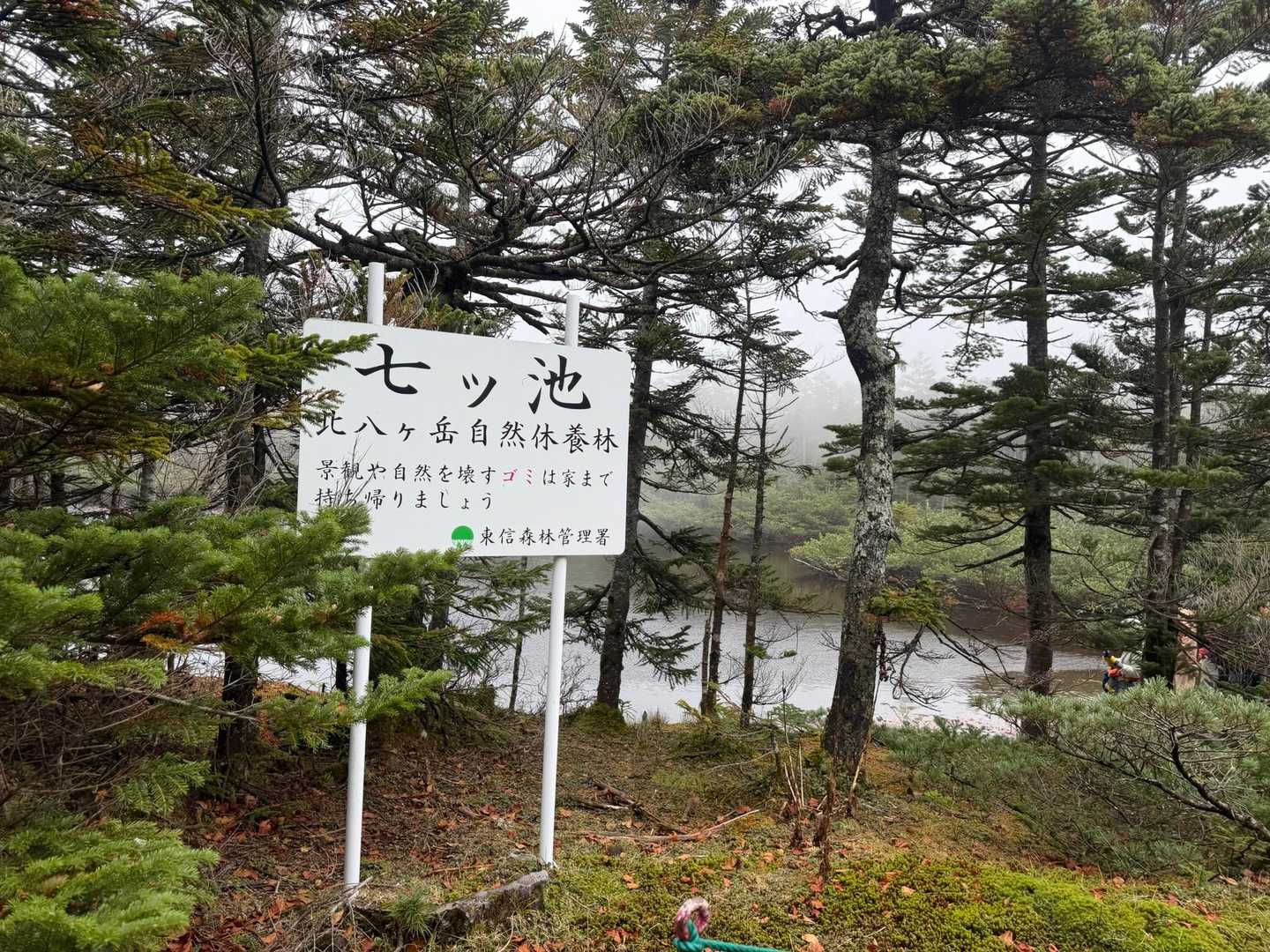 水少なめ