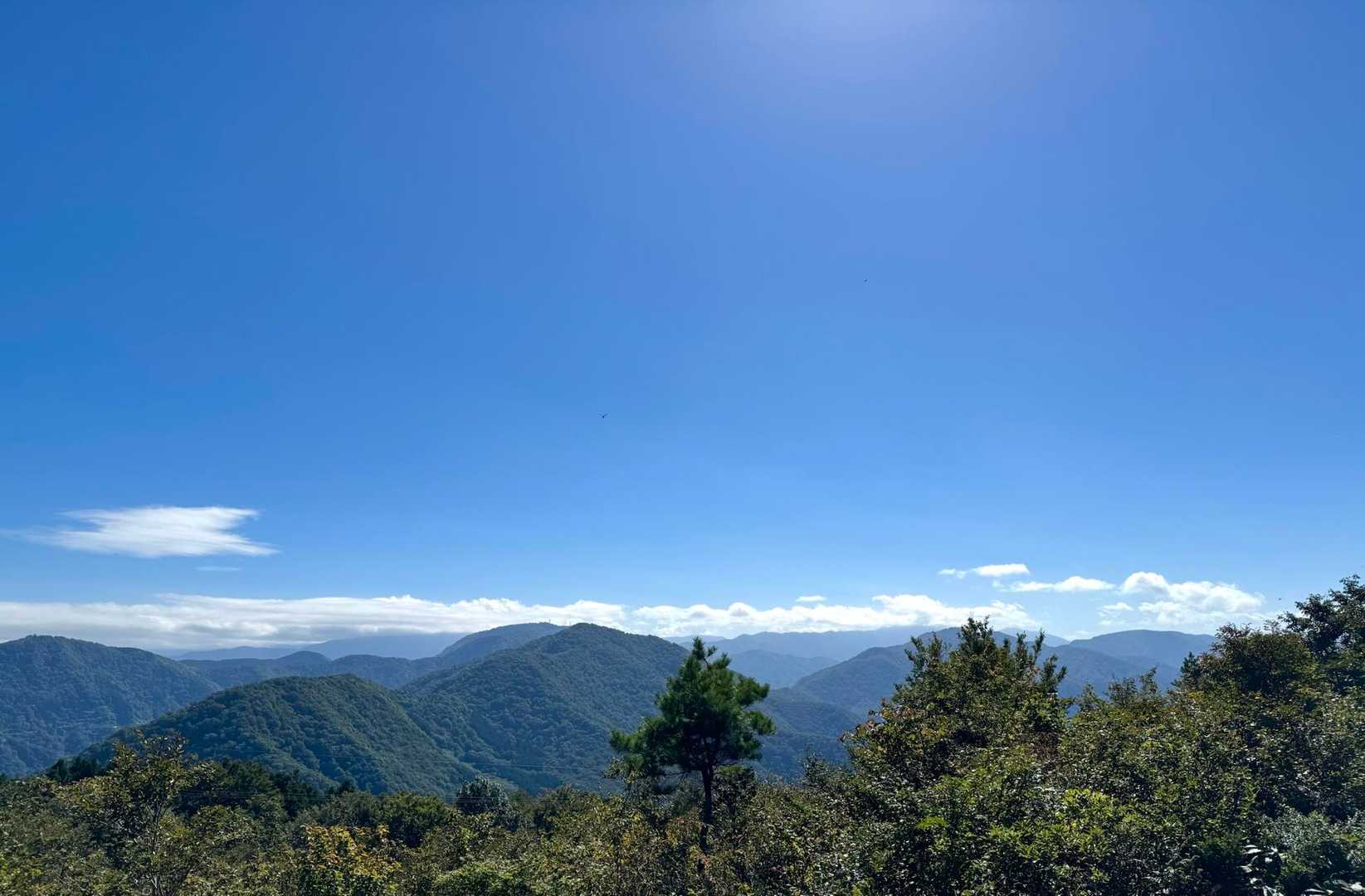 小白木峰、金剛堂山〜٩(๑❛ᴗ❛๑)۶