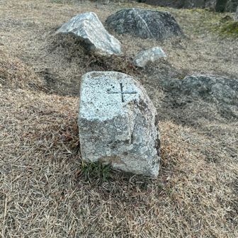 堀坂山頂上
三角点