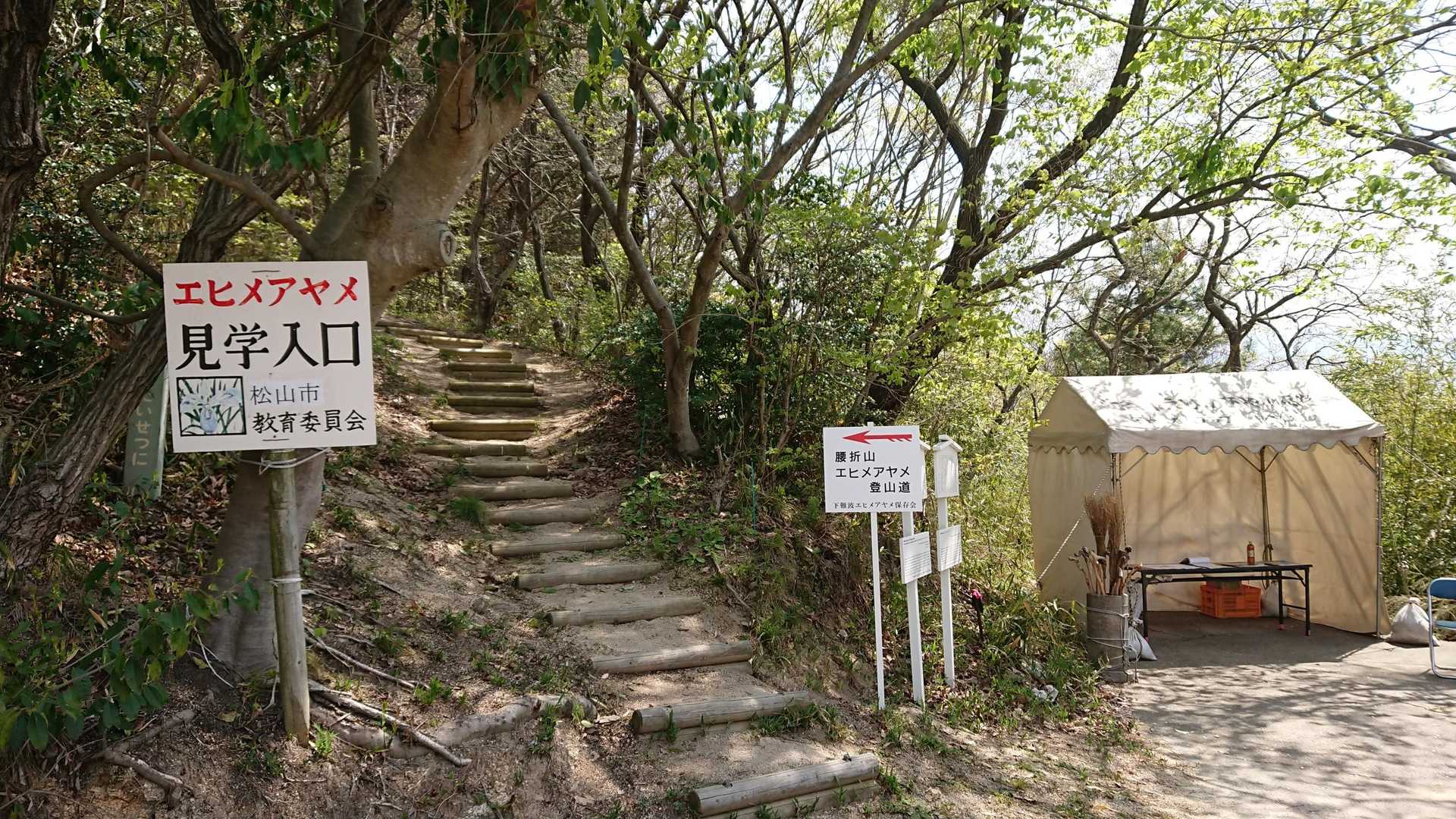 ここからが登山道
保存会の方がテントに
いらっしゃいまして
少しお話をして頂けました。
