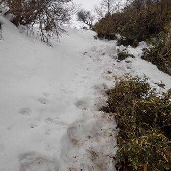 吹き溜まりゾーン