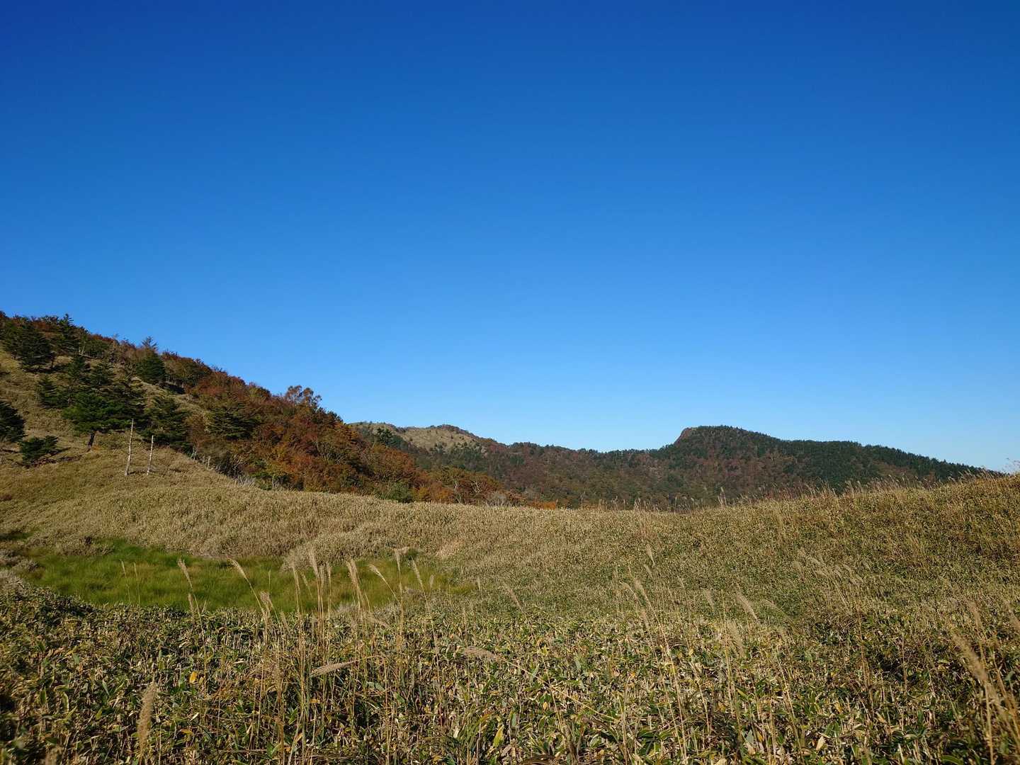 うわー最高😆
右端が本日の目的地、四国百名山、烏帽子山。
烏帽子の形に見えるでしょ。心眼で