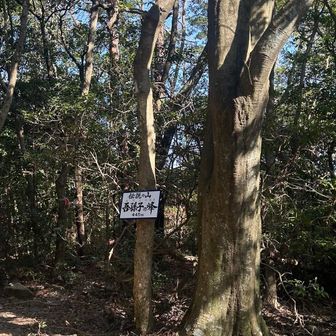 下山は吾孫子の峰を通ります

今年も行きたい山は数えきれず
体力を鑑みても　行きたい山は多い
山と温泉♨️  涙と汗　仲間との会話
気の置けない人達とだけで歩きたい
山が呼んでいるとは言うけれど　
天国からも呼ばれている
山歩きに　終わりは必ずやって来る
今年も一年　良い景色を見ていたい
それには　　
行きたい大きな山歩きを目標にする事　
それは必ず行こうと常に願う事かなぁ
さぁ　明日に向かって　予定考えよう