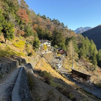 両神山荘が見えました。
無事に下山。