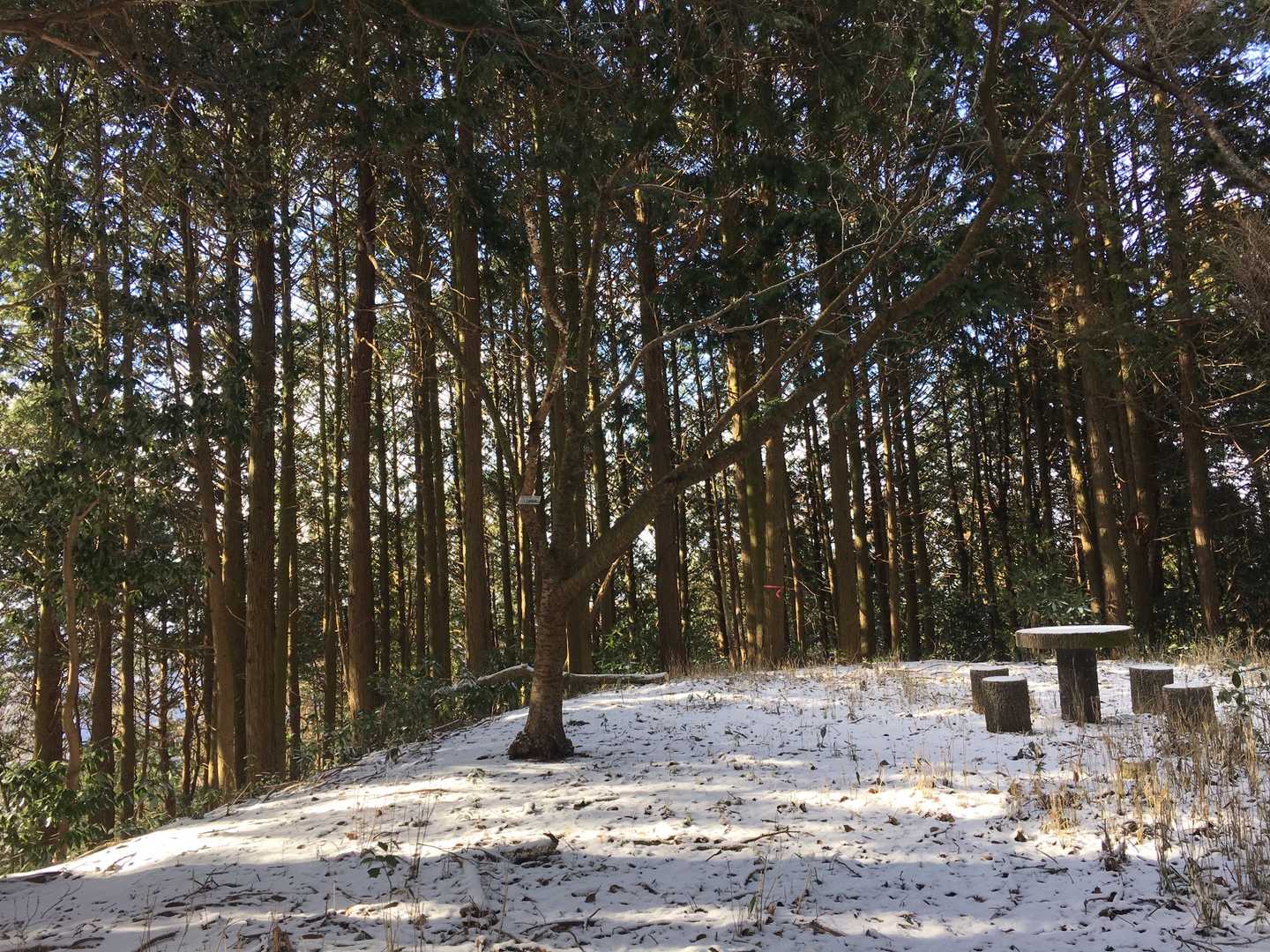 早い、もう、山頂です✨
