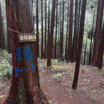 金比羅山の山頂です。景観とかはありません