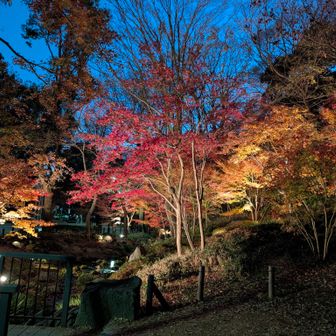 芝公園もみじ谷
ライトアップされてました