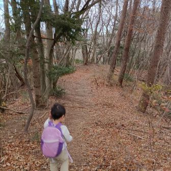 ここからも気持ちの良い尾根歩き。息子がもっと歩けるようになったら丹沢にも行ってみたいです。