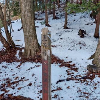 魚谷峠に降りて来ました、ここから林道です