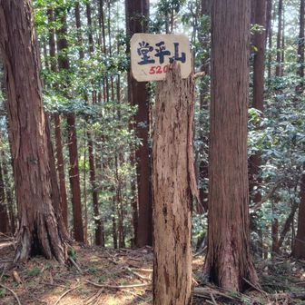 またピークゲット