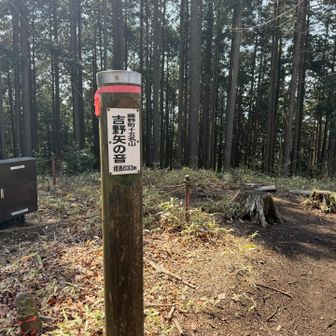 こっち側は、人が多くてめっちゃ整備されてた明王峠のほうと毛色は変わり里山風味全開。
下山の道が笹藪でちょっと分かりづらい。
下りててホンマにこれか？ってなる道です😅