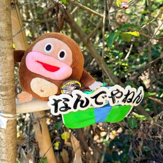 🐵
