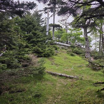 もうすぐ山頂