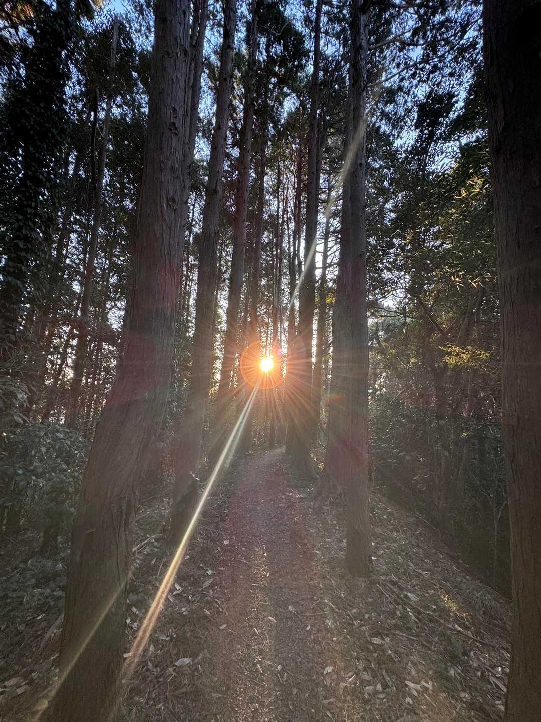 ここで太陽が☀️