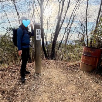生藤山に到着
標高990m、関東百名山・花の百名山です
頂上は周囲の木が育って隙間からの眺望だけでしたが…