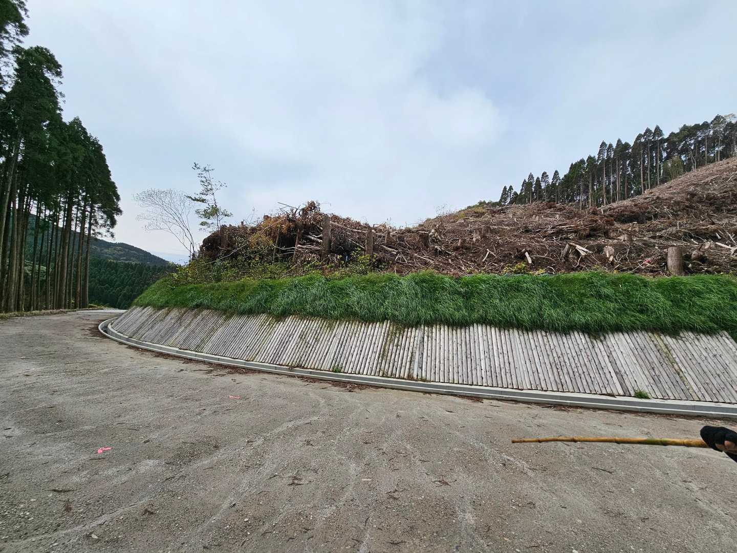 あれ？雰囲気違ってる😲