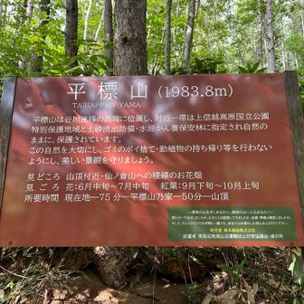 平標山の案内板
南魚沼地域山岳遭難防止対策協議会・湯沢町

新しい登山靴は登山道では順調でした。
新道歩きで左親指が痛んだので靴紐を緩くしました💛
