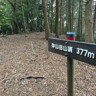 １座目・弥山岳⛰️到着🥾（初）
本日のピーク