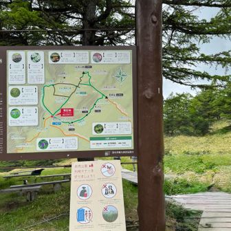 池の平湿原の入り口