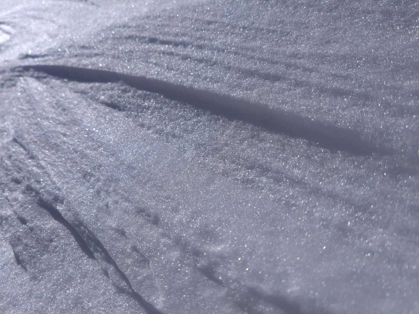 昨夜降ったばかりの雪が太陽に照らされてキラキラ✨✨