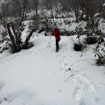 山頂ついちゃいそうなので無理やりスノーシュー履いてみる