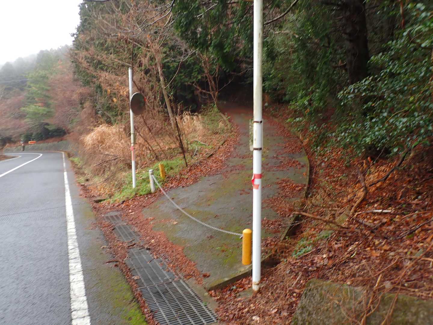 車道をずっと下ってきて封鎖された林道の入り口から入っていきます