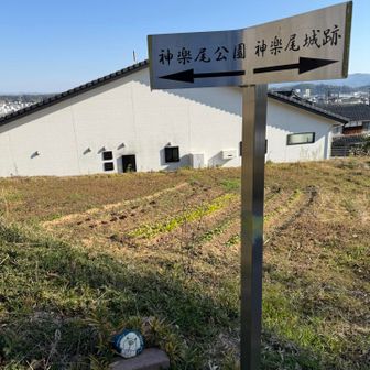 鼻ができました❣️
あれ😳ここにも石があったんだ⁉️