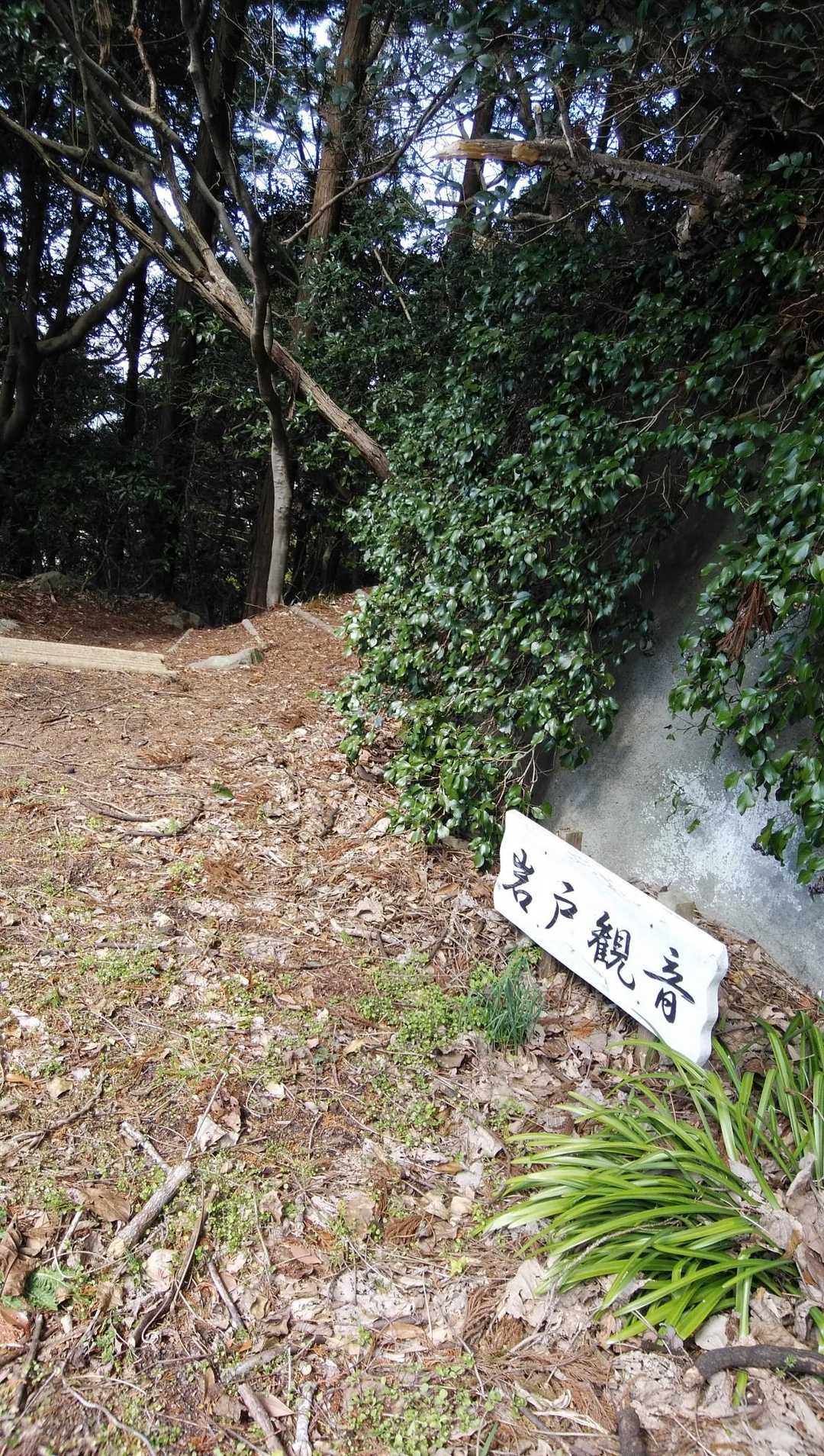 岩戸観音の方へ