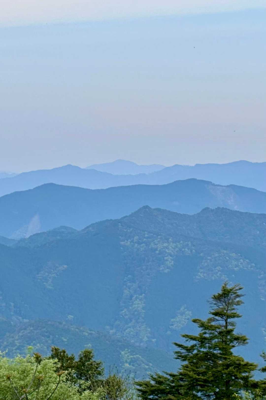 半作峠-半作嶺-三ッ森山 周回コースの写真