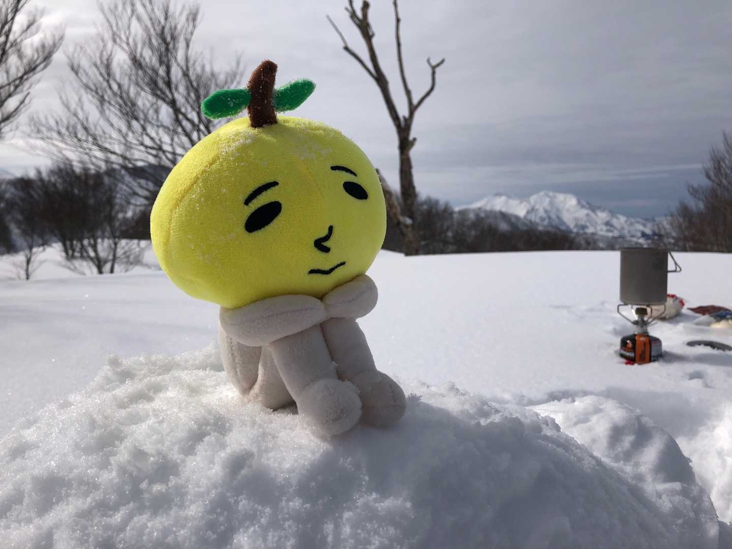 今日はゆず太郎も連れてきました😉
久しぶりの登場です✨