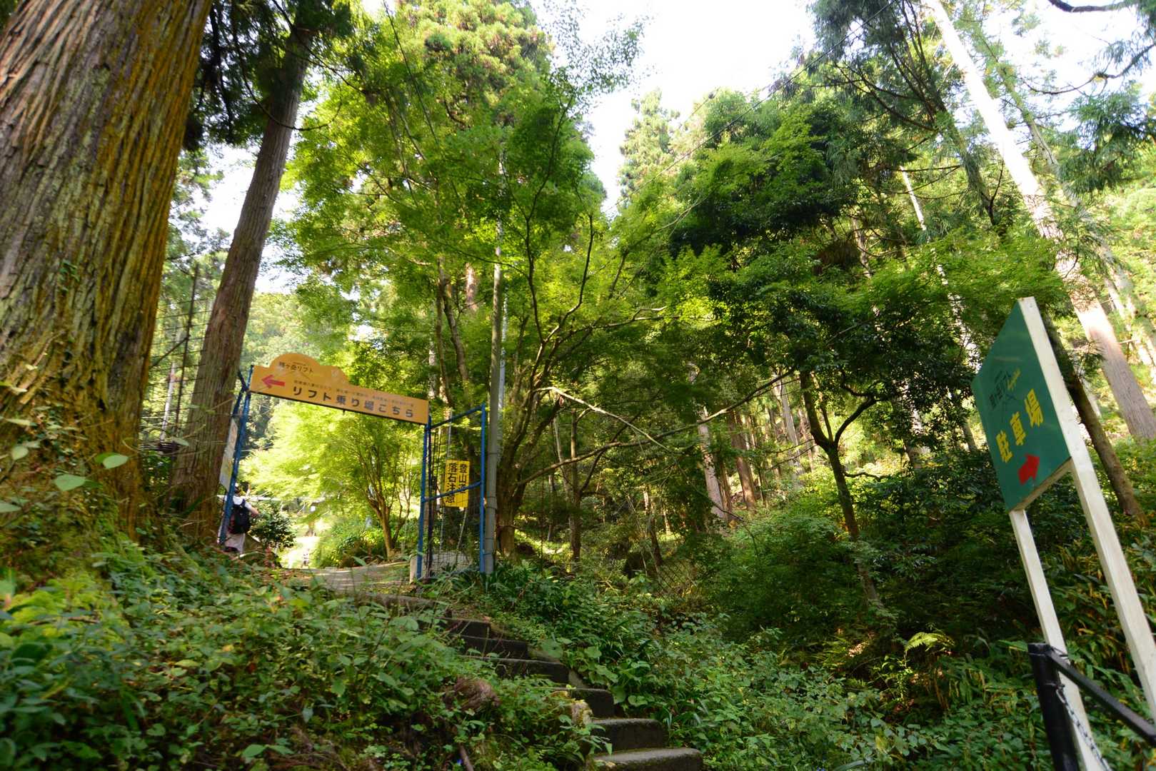 山の中は気持ちいい！