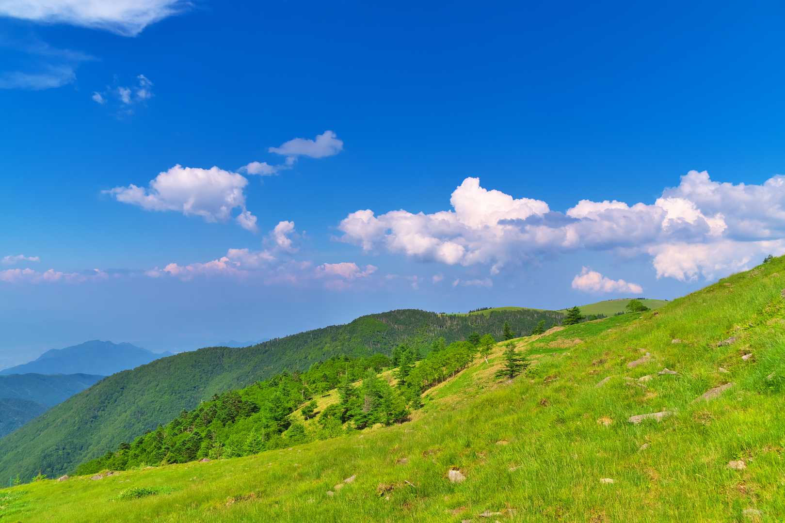 美ヶ原（王ヶ頭）の写真
