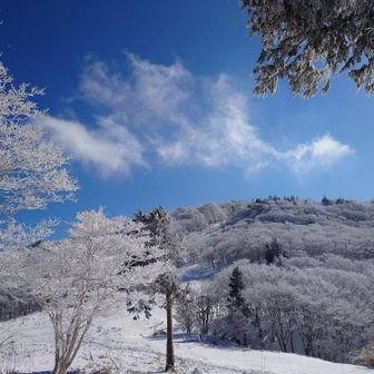 ホント来て良かった🥰