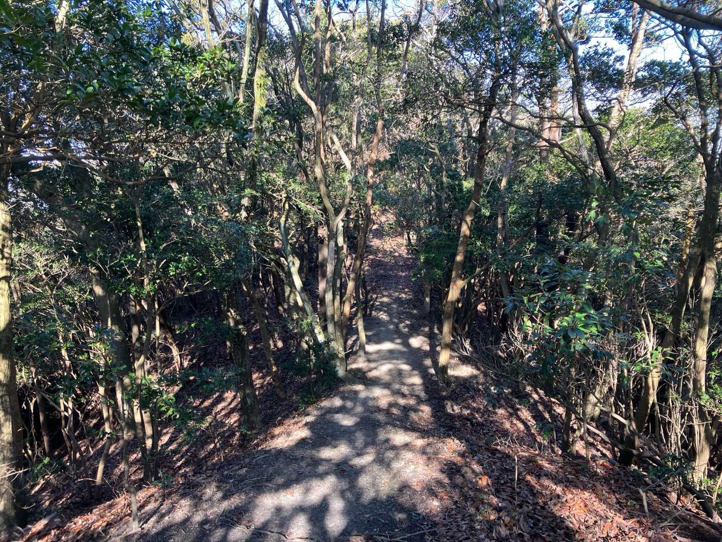 茶臼山-大谷山-大谷ダム 周回コースの写真