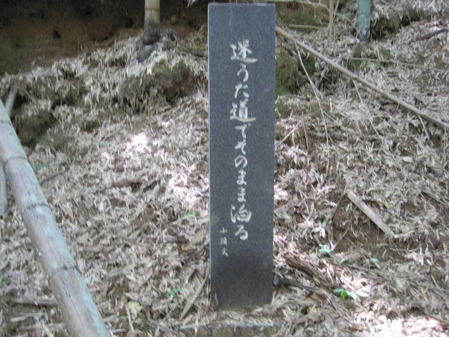 山頭火、ここまで来たの？。
