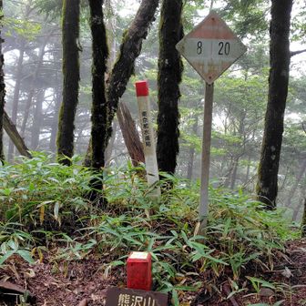 熊沢山　うっかり通り過ぎ「アレ?下ってる…ピーク過ぎた!?」と慌てて戻る💦