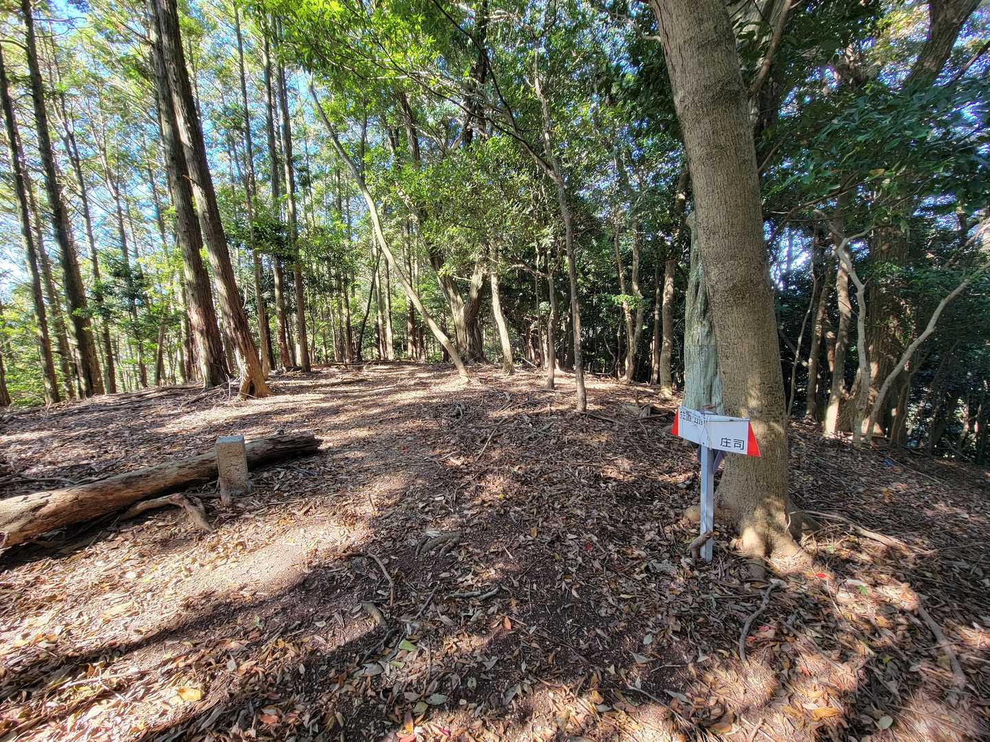 砂の巻き道が登りにくく、写真も取れないくらい緊張しました。やっと分岐へ