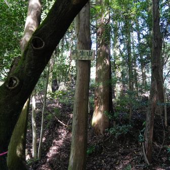 丹上山
