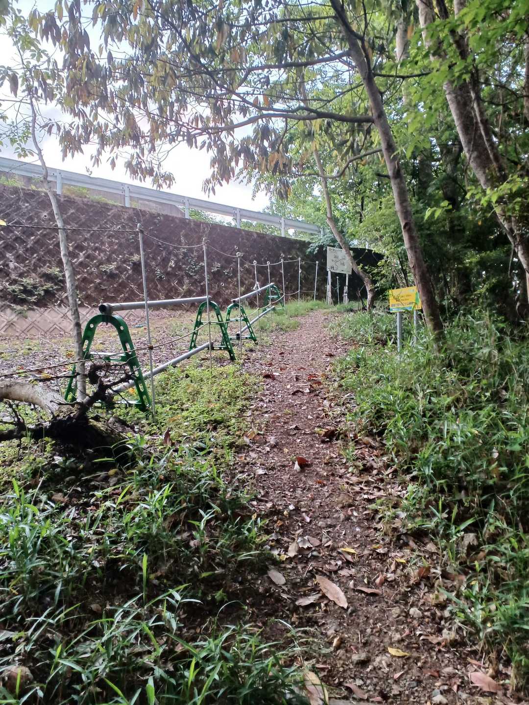 ほどなく車道に出た。もう山頂部だ😊🎶