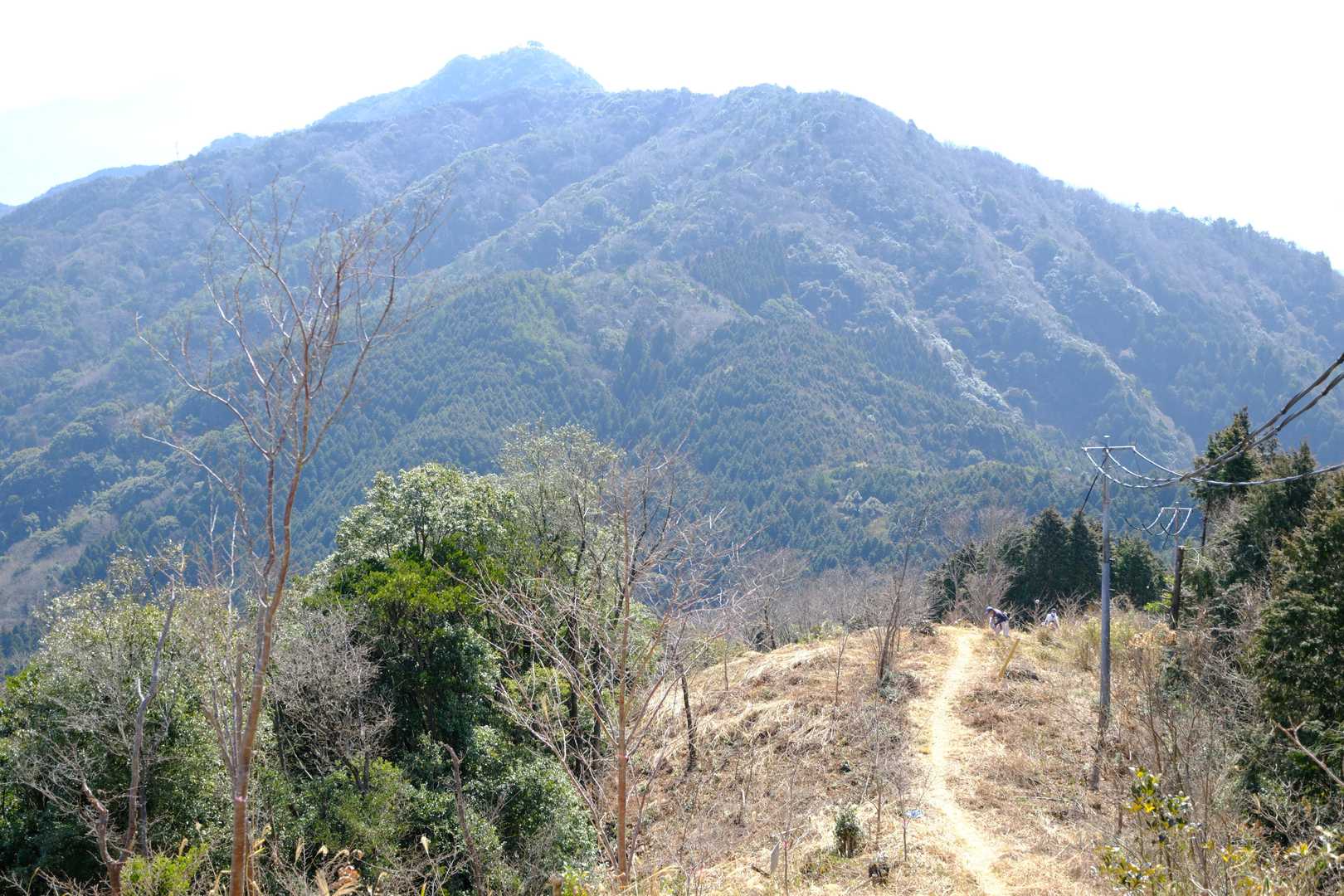 左側ピークが琴石山山頂