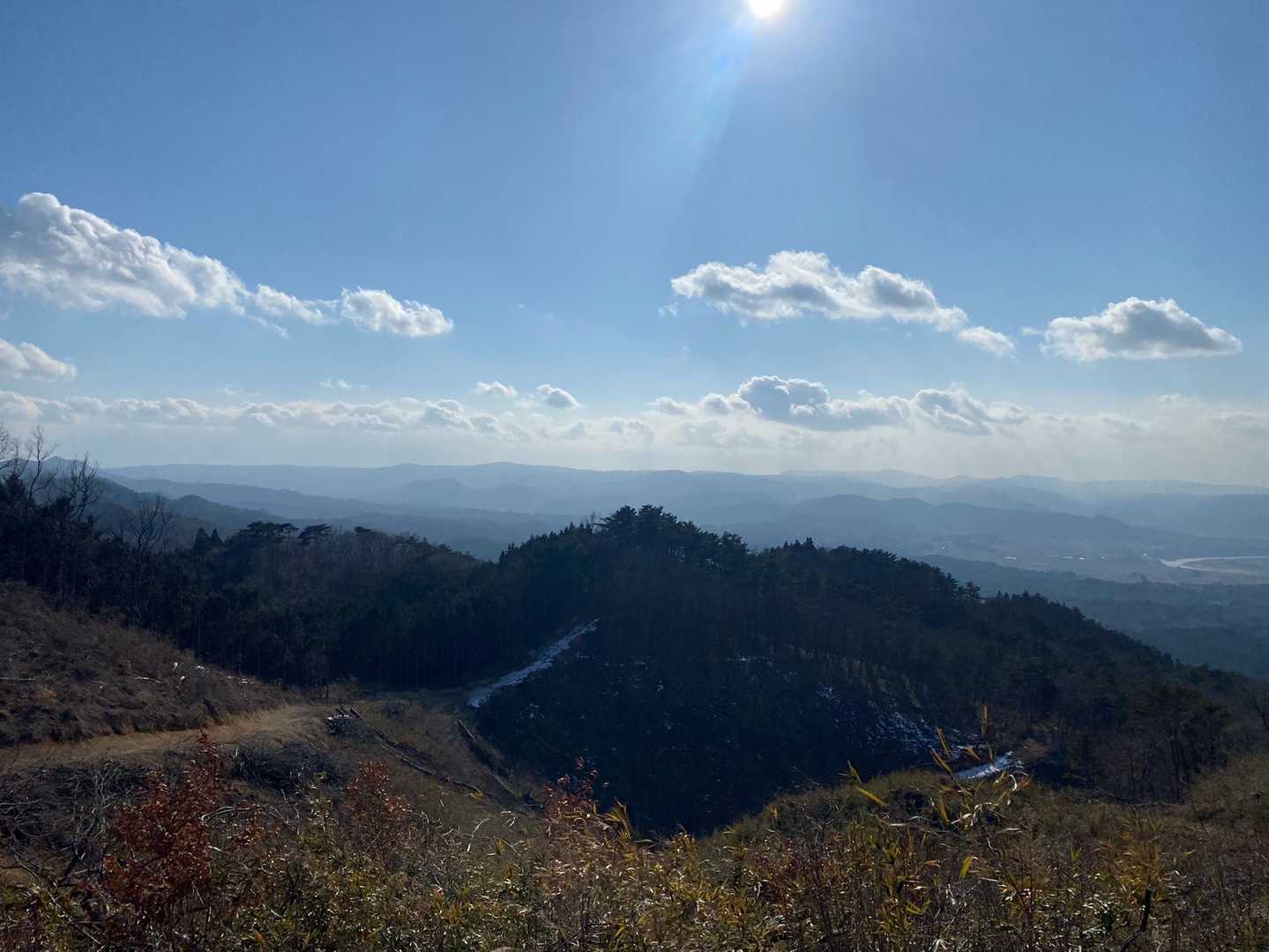 大沢山眺望ヨシ