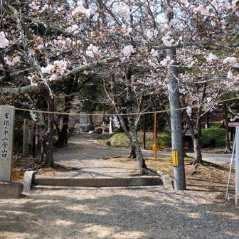 いつものように登山口に下山。