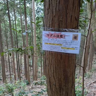 山頂に設置したかったが、カエル石の近くにした　無事帰ることができるように　いや帰った後に無事生き残れるように