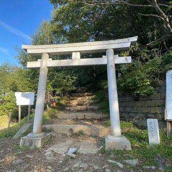 再び登山道