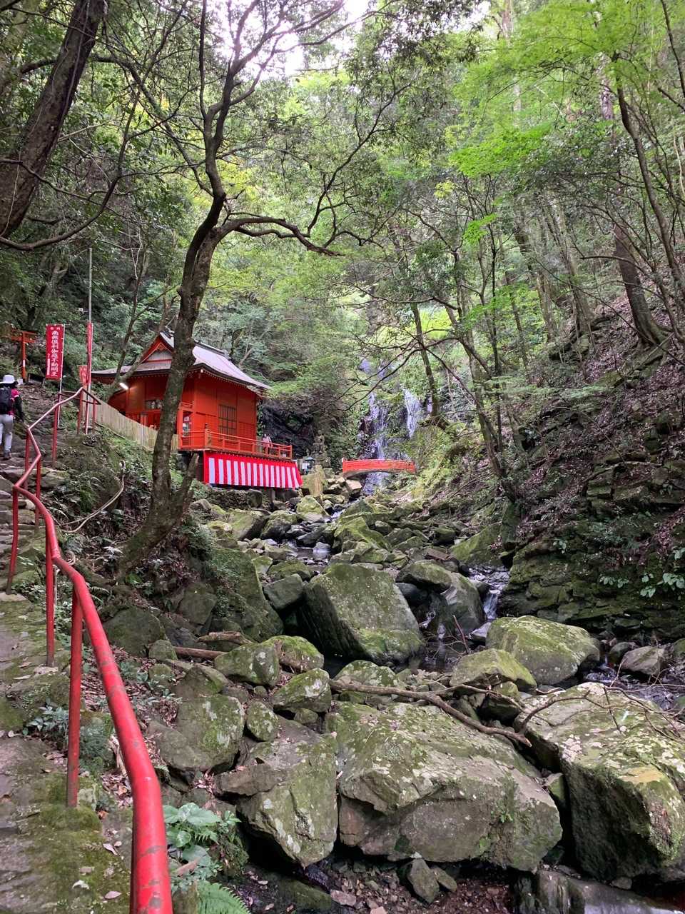 清滝堂で御朱印を頂き
本堂の奥へ入り滝の保存金¥50-を納め
行者の滝へ修験の滝を見ます
日本でも数少ない修験者体験のできる
葛城二十八修験道場「根本道場」と言うらしいです
女性の方も沢山訪れるようで
1人滝に打たれて修行されていました
体験料¥3.000-