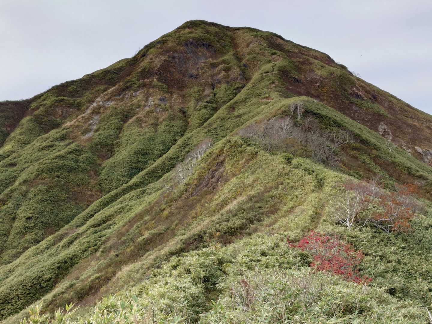 下山時振り返って📸