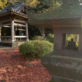 なんとも言えない佇まい🤩