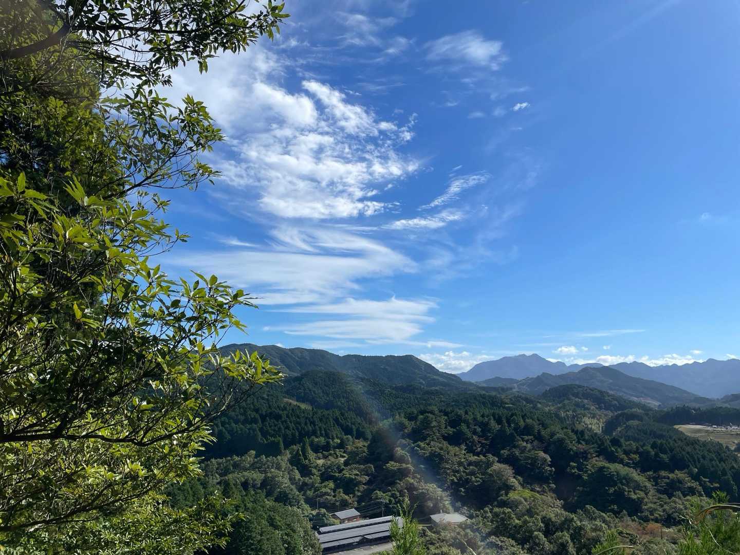 馬見山 往復コースの写真
